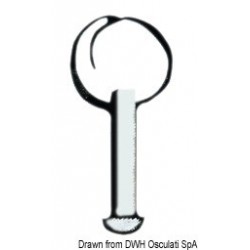 Perno inox 6x20 senza anello