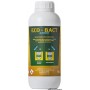 Battericida Ecobact per gasolio 1 kg